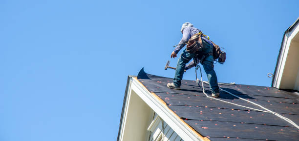 Best Roof Repair Services  in Frankl, IN